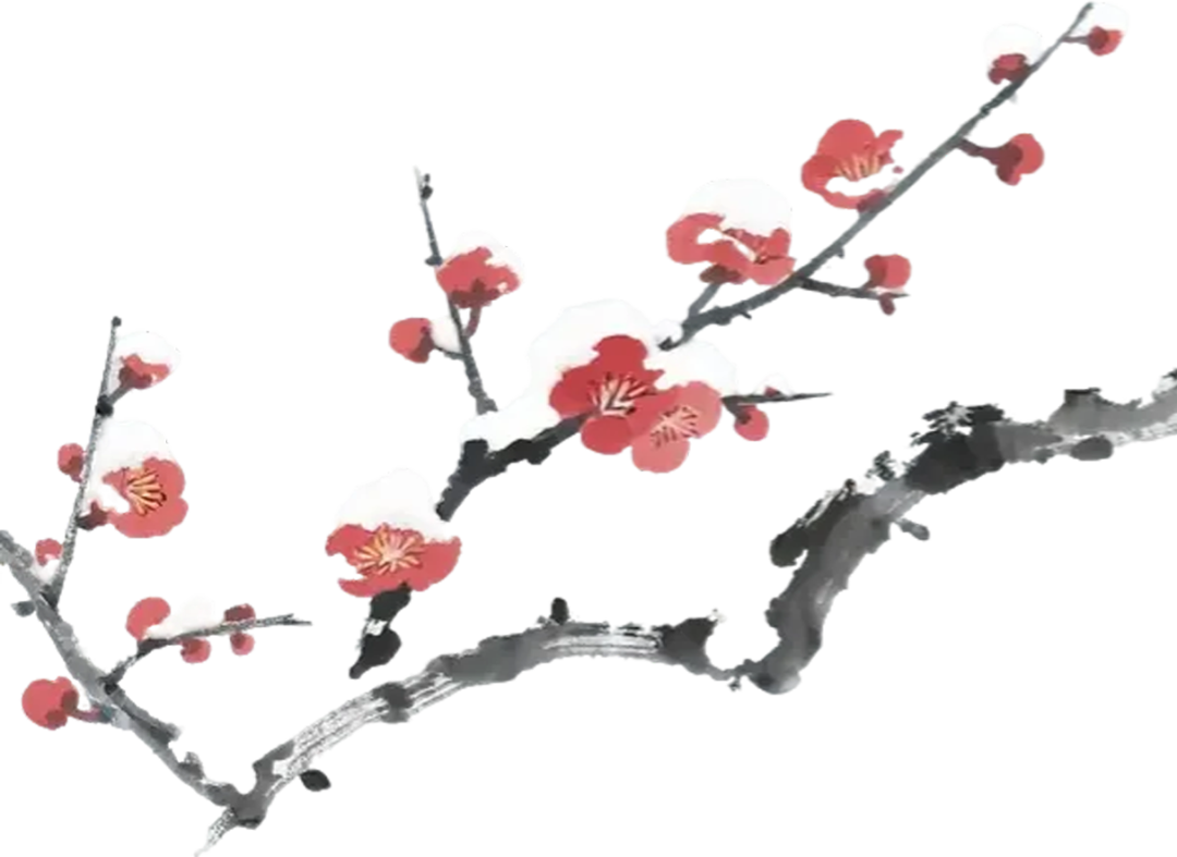 5640 (1).png